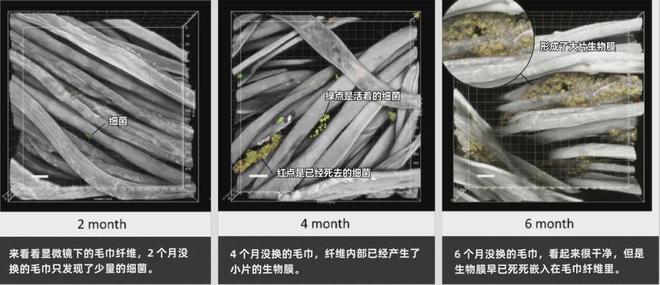 同款毛巾！我们低价搞到了新葡京博彩胖某来刚上架的(图3)